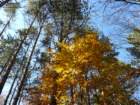 p1120239_small.jpg