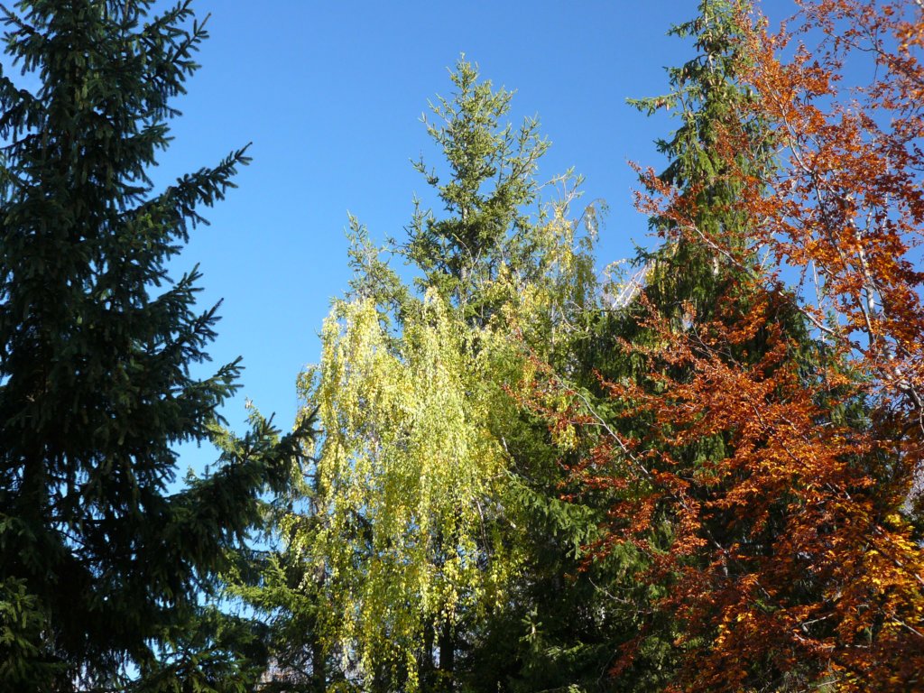 p1120244.jpg