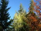 p1120244_small.jpg