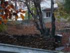 p1120248_small.jpg