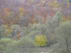 p1120250_small.jpg