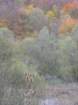 p1120251_small.jpg