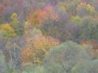 p1120256_small.jpg