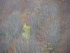 p1120257_small.jpg