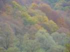 p1120258_small.jpg
