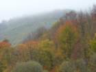 p1120262_small.jpg