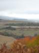 p1120264_small.jpg