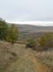 p1120272_small.jpg