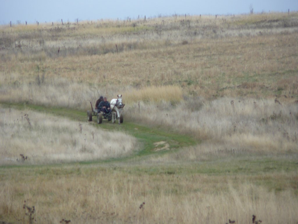 p1120275.jpg