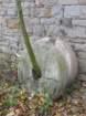p1120290_small.jpg