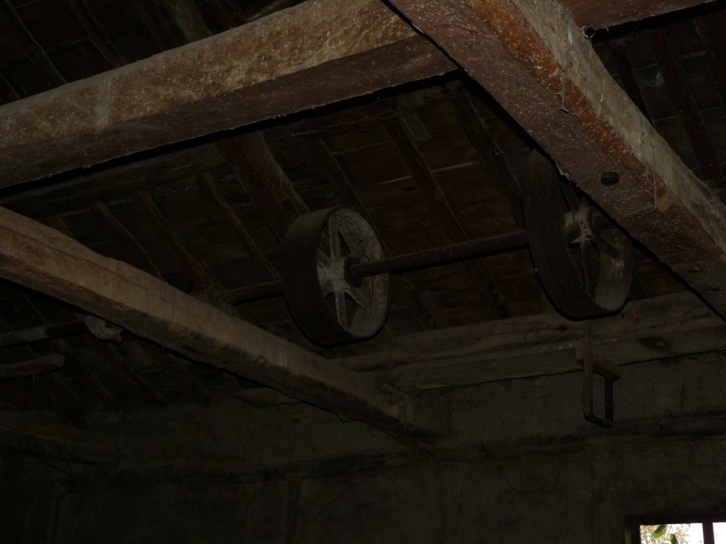 p1120293.jpg