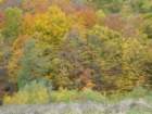 p1120309_small.jpg