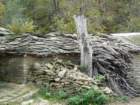 p1120323_small.jpg