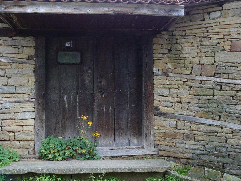 p1120331.jpg