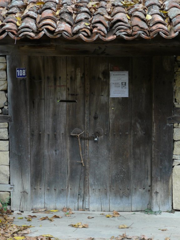 p1120336.jpg