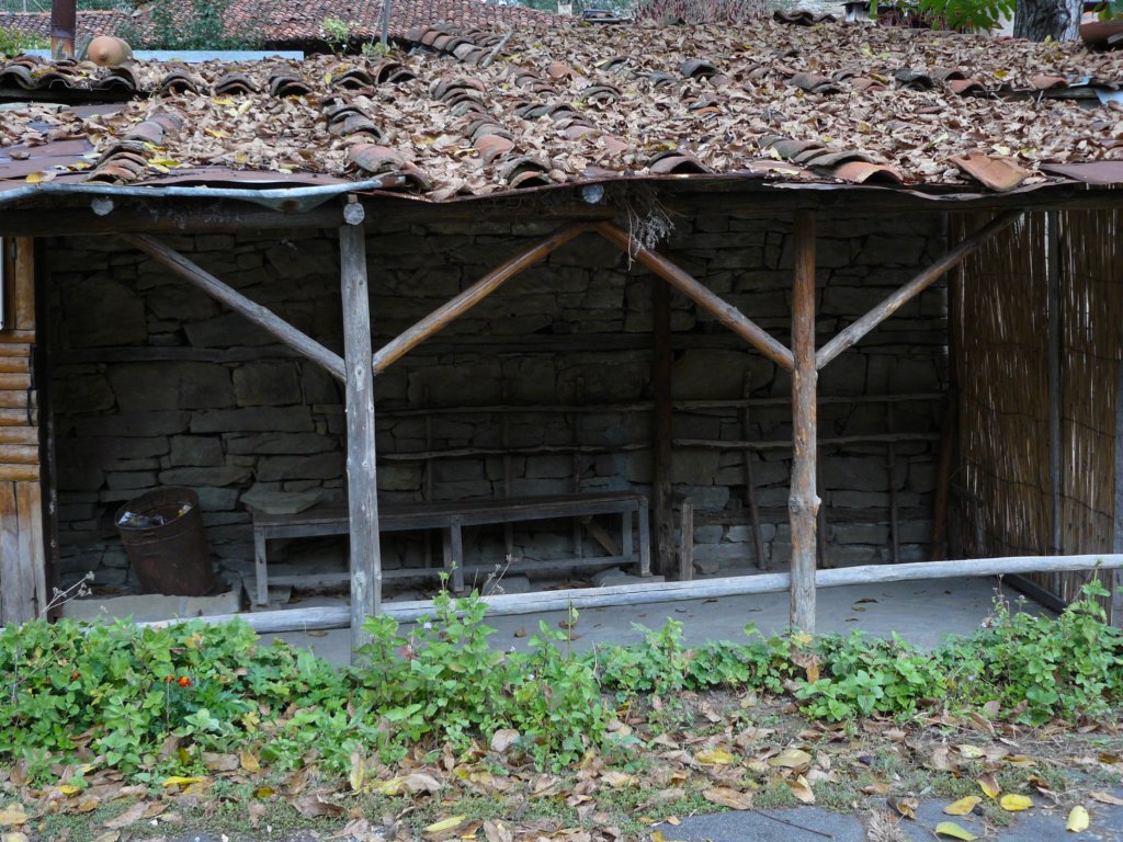 p1120339.jpg