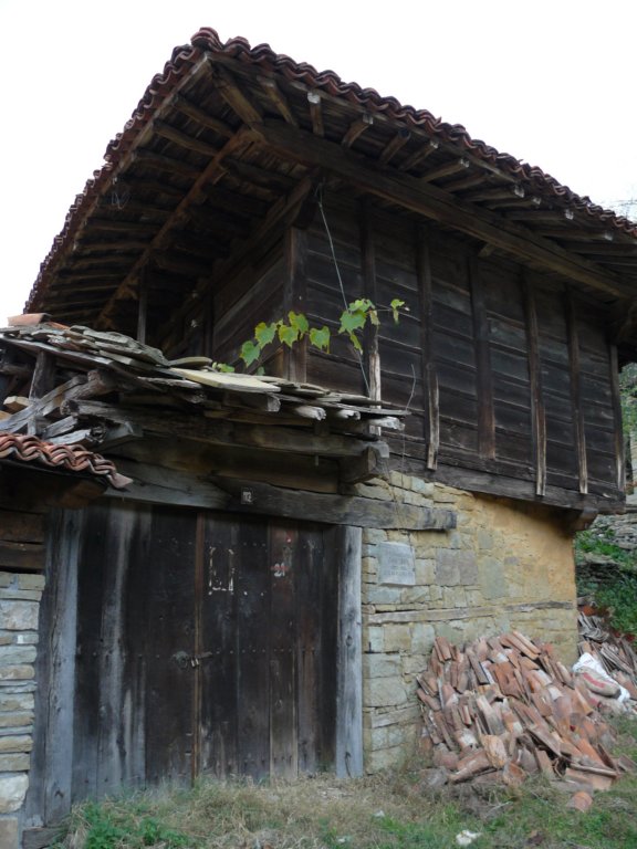 p1120343.jpg