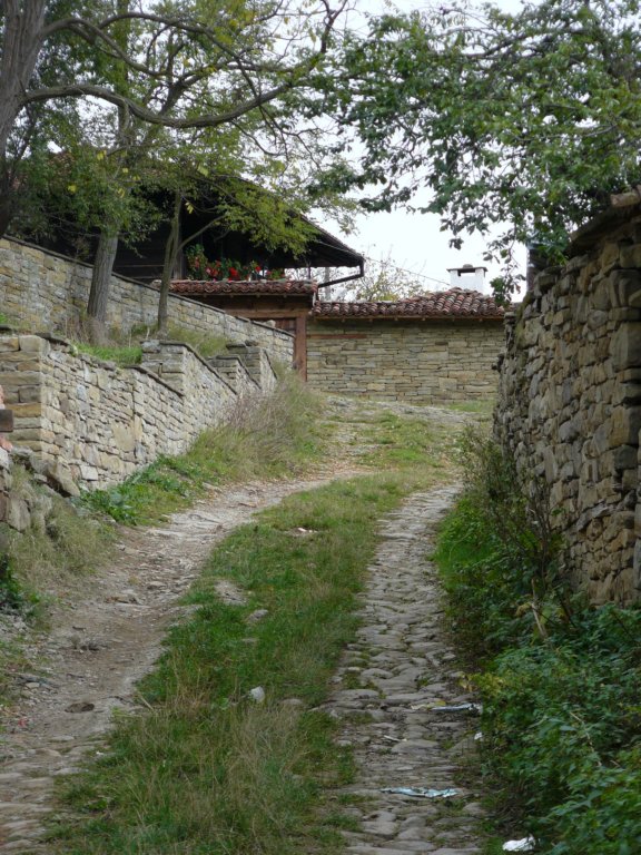 p1120344.jpg