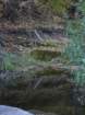 p1120354_small.jpg