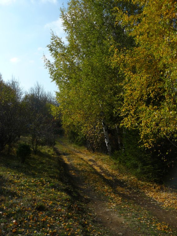 p1120384.jpg