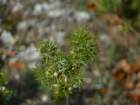 p1120395_small.jpg