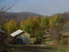 p1120398_small.jpg