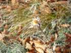 p1120407_small.jpg