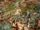 p1120408_small.jpg