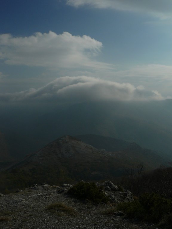 p1120414.jpg