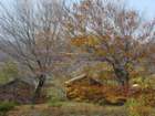 p1120420_small.jpg
