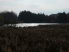 p1120424_small.jpg