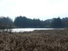 p1120425_small.jpg