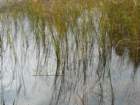 p1120428_small.jpg