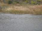 p1120433_small.jpg