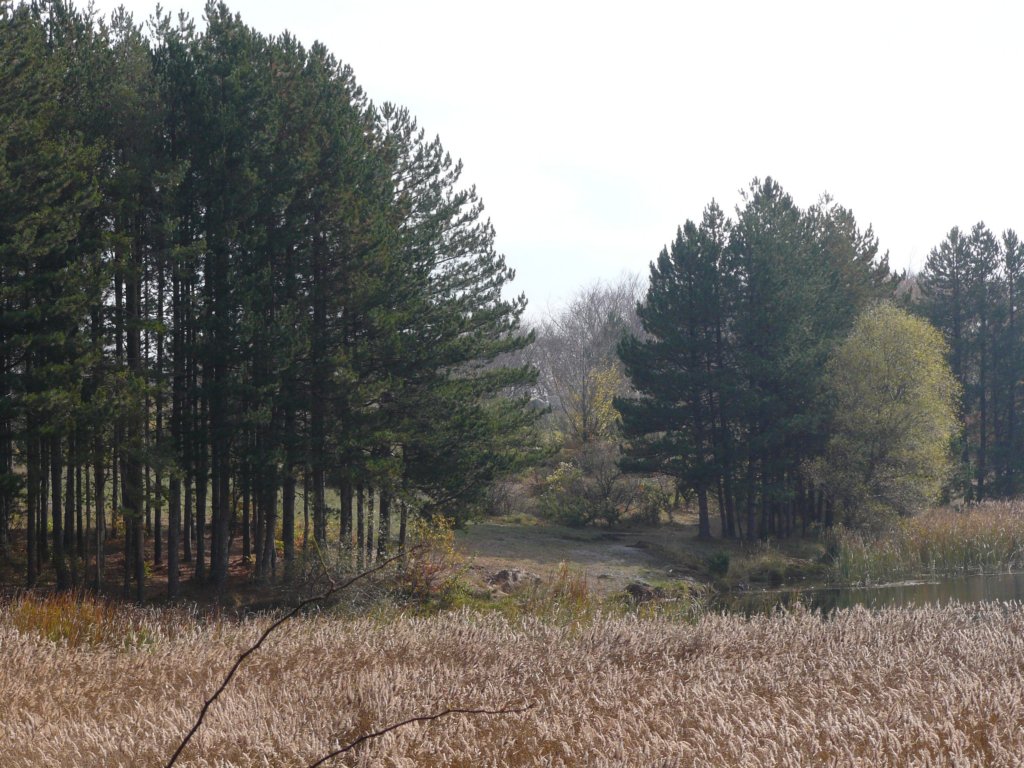 p1120434.jpg