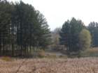 p1120434_small.jpg