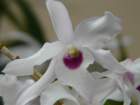 p1310350_small.jpg