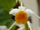 p1310353_small.jpg