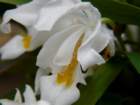 p1310357_small.jpg