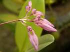 p1310416_small.jpg