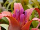 p1310443_small.jpg