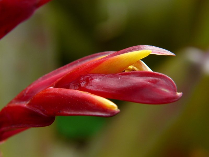 p1310446.jpg