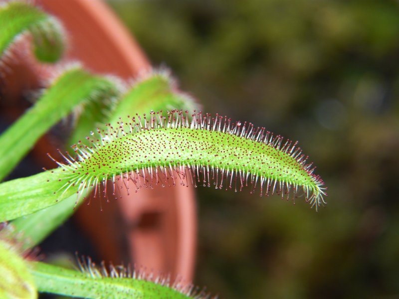 p1310511.jpg