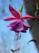 p1310554_small.jpg
