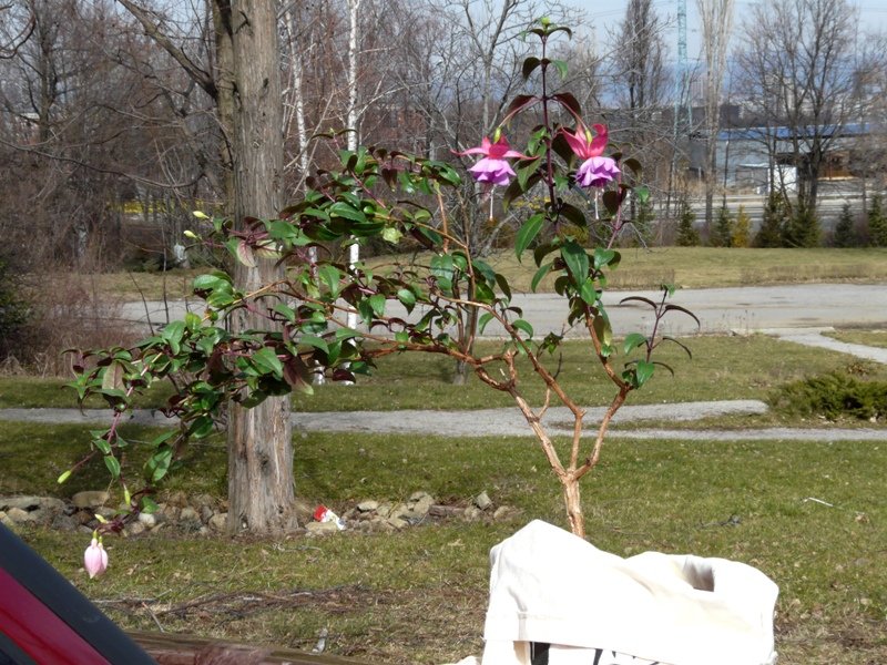 p1310558.jpg