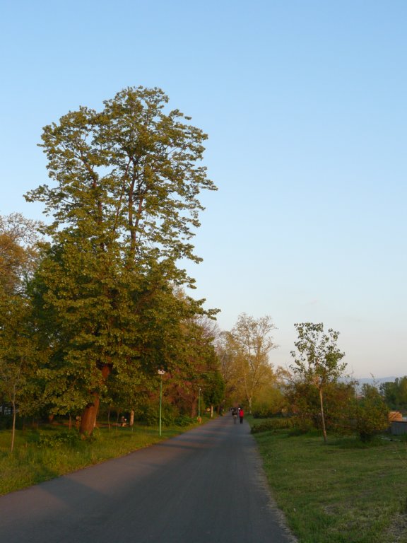 p1130795.jpg