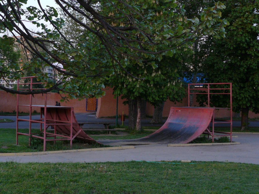 p1130820.jpg