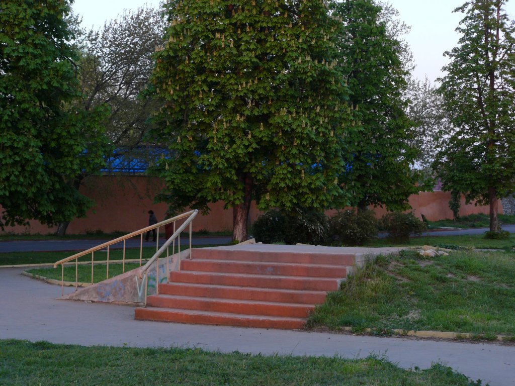 p1130821.jpg