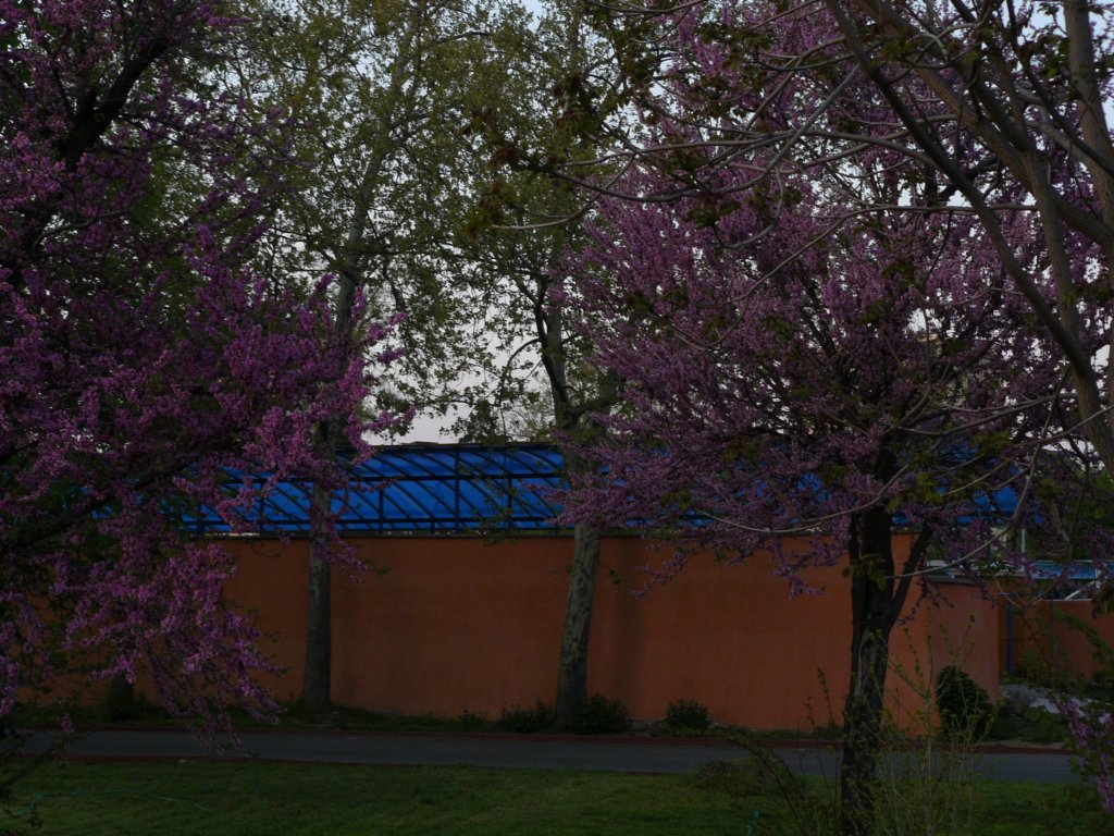 p1130824.jpg