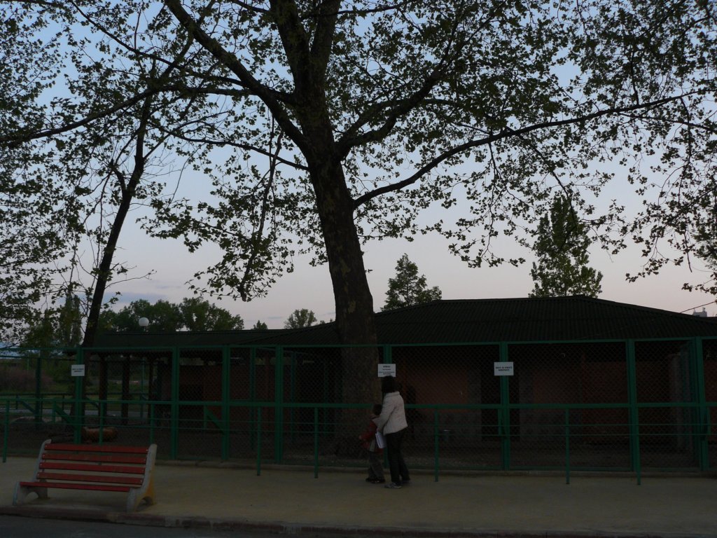 p1130831.jpg